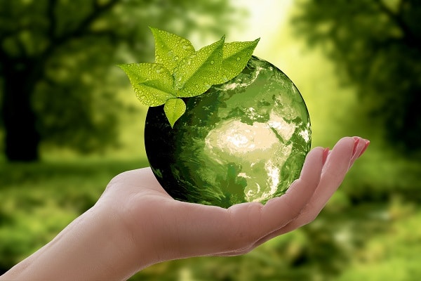 Activité de cohésion d'équipe ecoresponsable