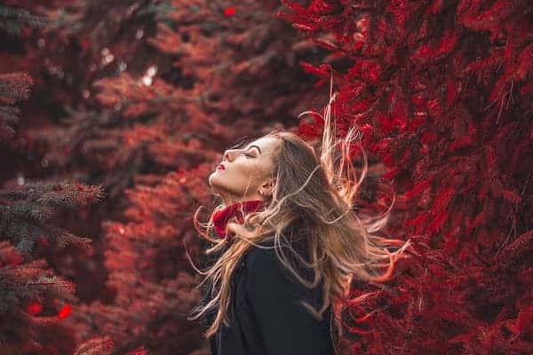 Atelier gérer son stress avec les huiles essentielles