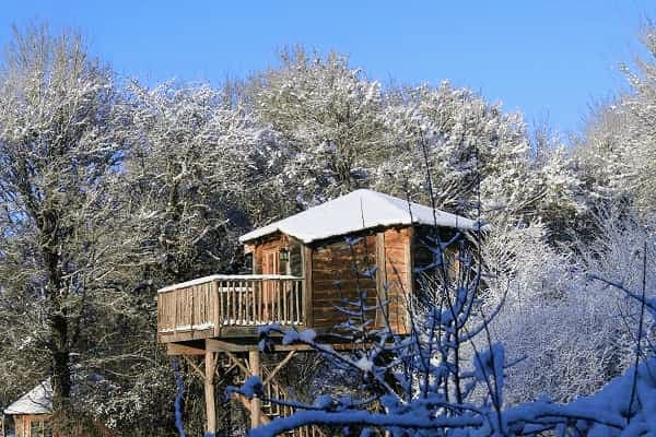 Séminaire d'entreprise en cabane dans les arbres