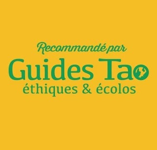 guide Tao