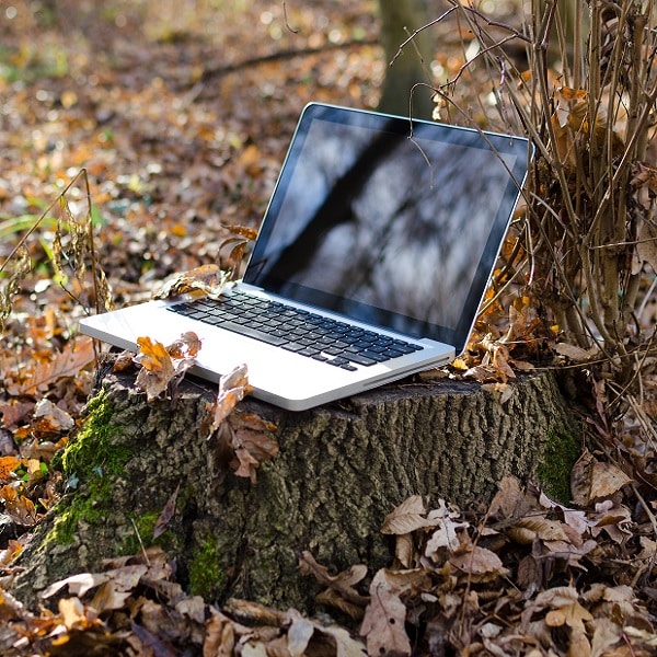 ordinateur dans la nature en hiver