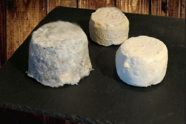Fromages de chèvre de production locale pour votre Journée d'étude pour association engagée