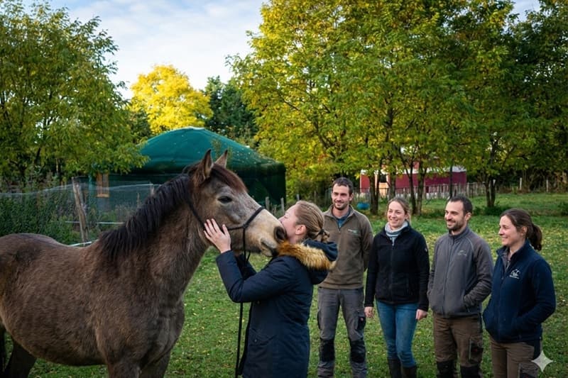 un atelier d'équithérapie au cours d'un séminaire nature dans le Loiret en Centre Val de Loire