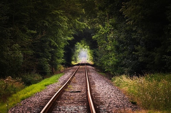 photo d'un espace vert de Puisaye.